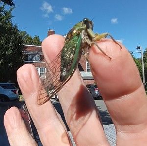 Meet your Posher, Richard